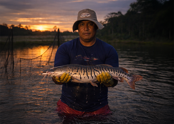 Doncella for premium kitchens